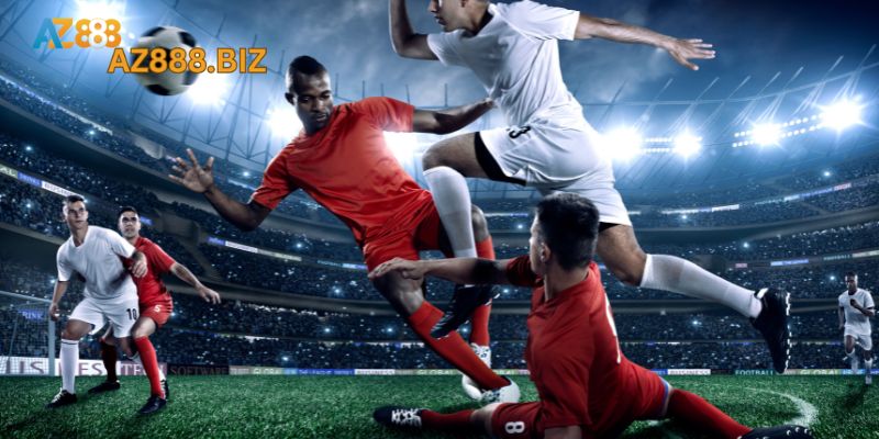 Tổng quan chương trình 